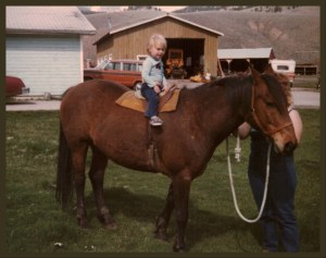 My mom's horse Thumbtack, my 2 sisters and I all learned to ride on him. I was 2 in this picture