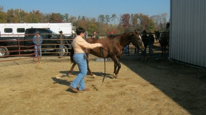 Trailer load demo at Circle C Cowboy Church colt starting competition and clinic 2011.