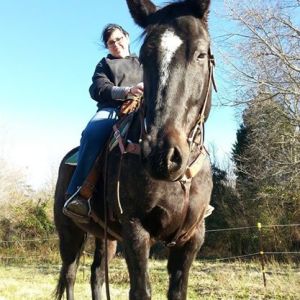 Just out enjoying a winter ride on my pony Fireman. 