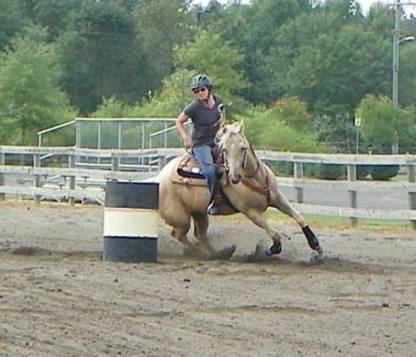 This is Banner, the horse I just got last summer. I am hoping for many years with this horse. This pic I really feel like I am really enjoying my horse and he is wanting to get down and work. 