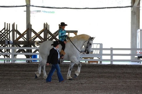 Judging at the Reinbow Riders open show at Tri-State arena in Cleveland, Tennessee. Photo courtesy of Christina Simmerman. 