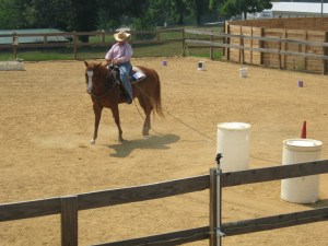 The gelding that gets called bad names sometimes...