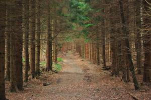 What gives you peace?