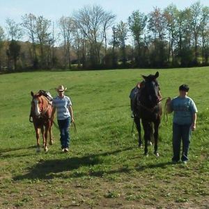 One of our afternoon rides. THIS is what's important. 