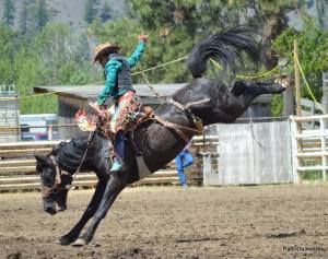 Photo by Patti Ouimette