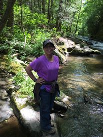 Bald River Falls Hike