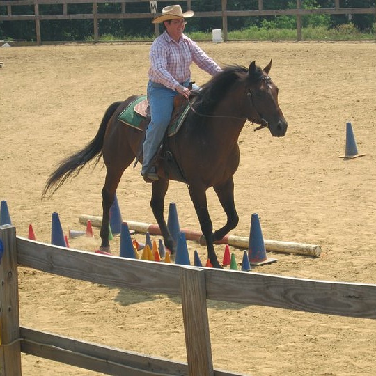 IMG_20171023_103707_737