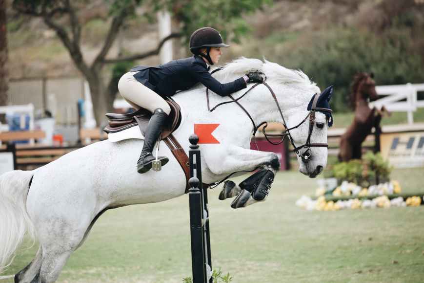 woman wearing black long sleeved blazer on white horse