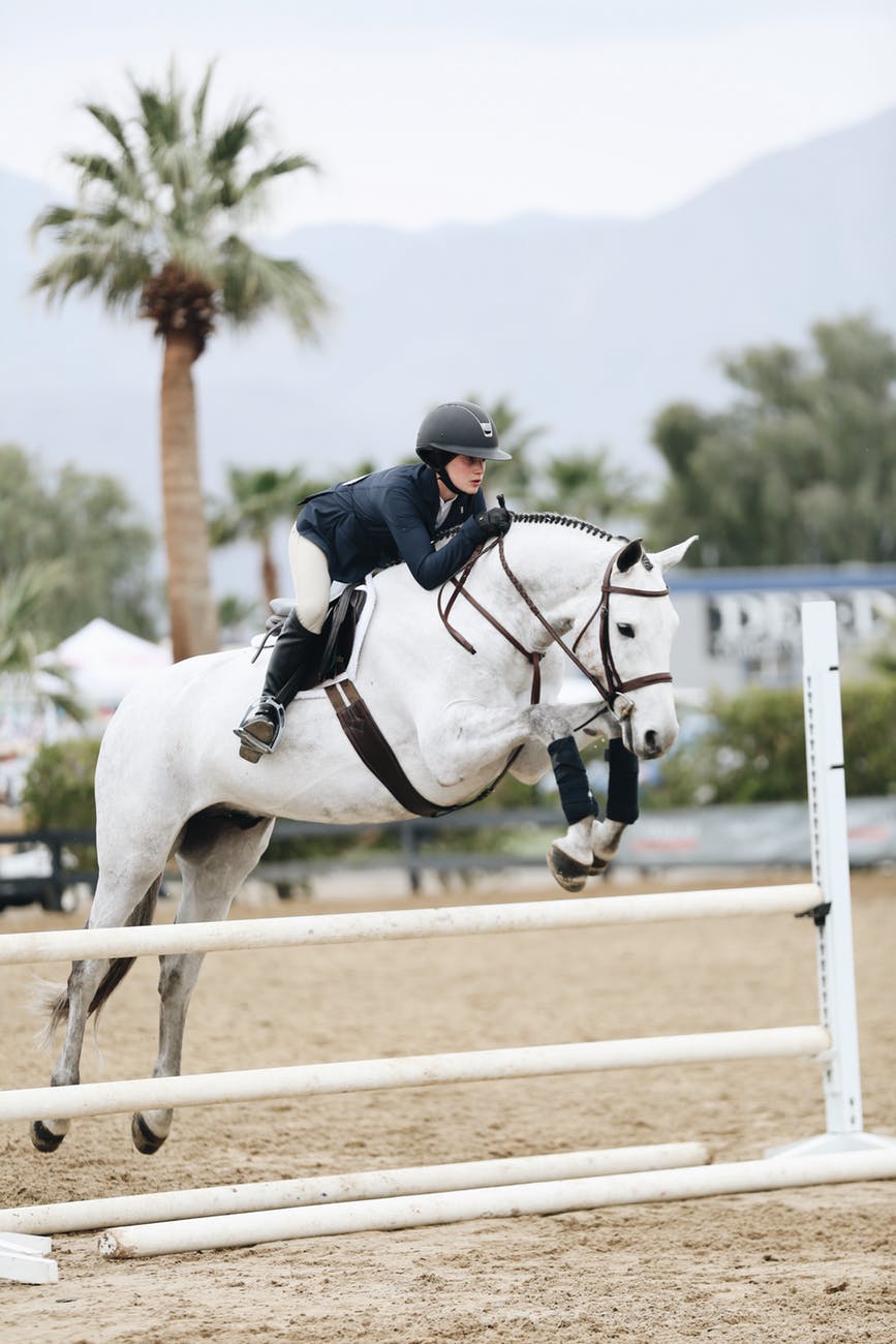 woman doing show jumping